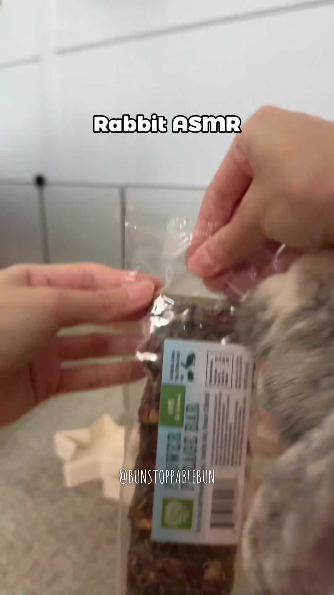 @BunBun, Mochi🌈, Chewy
