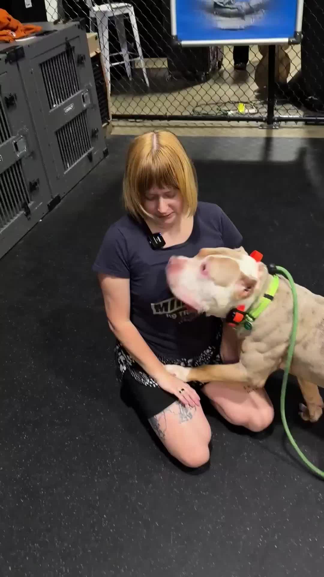 @Miracle K9 Training