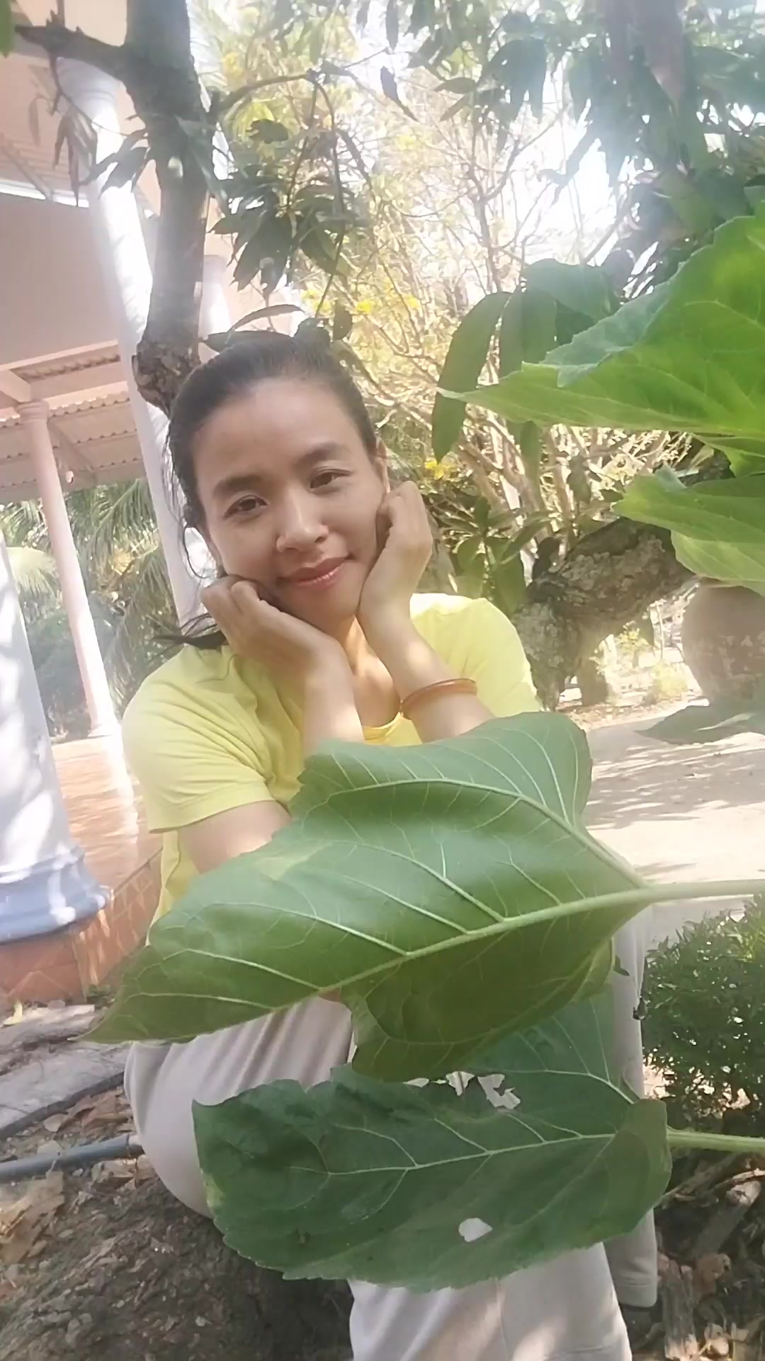 @Nitya Yoga