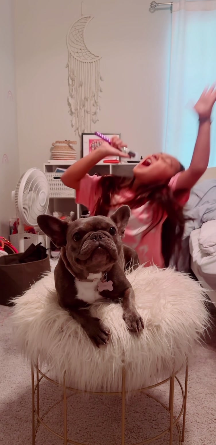 @blueythe405frenchie