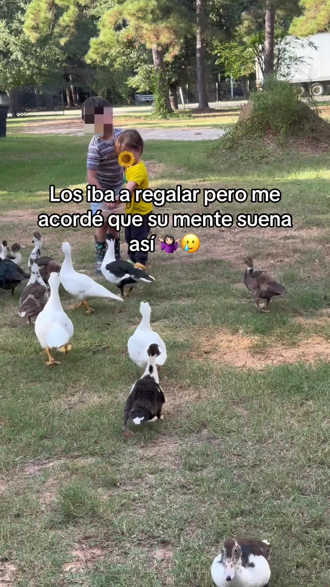 @enedeliajohnson