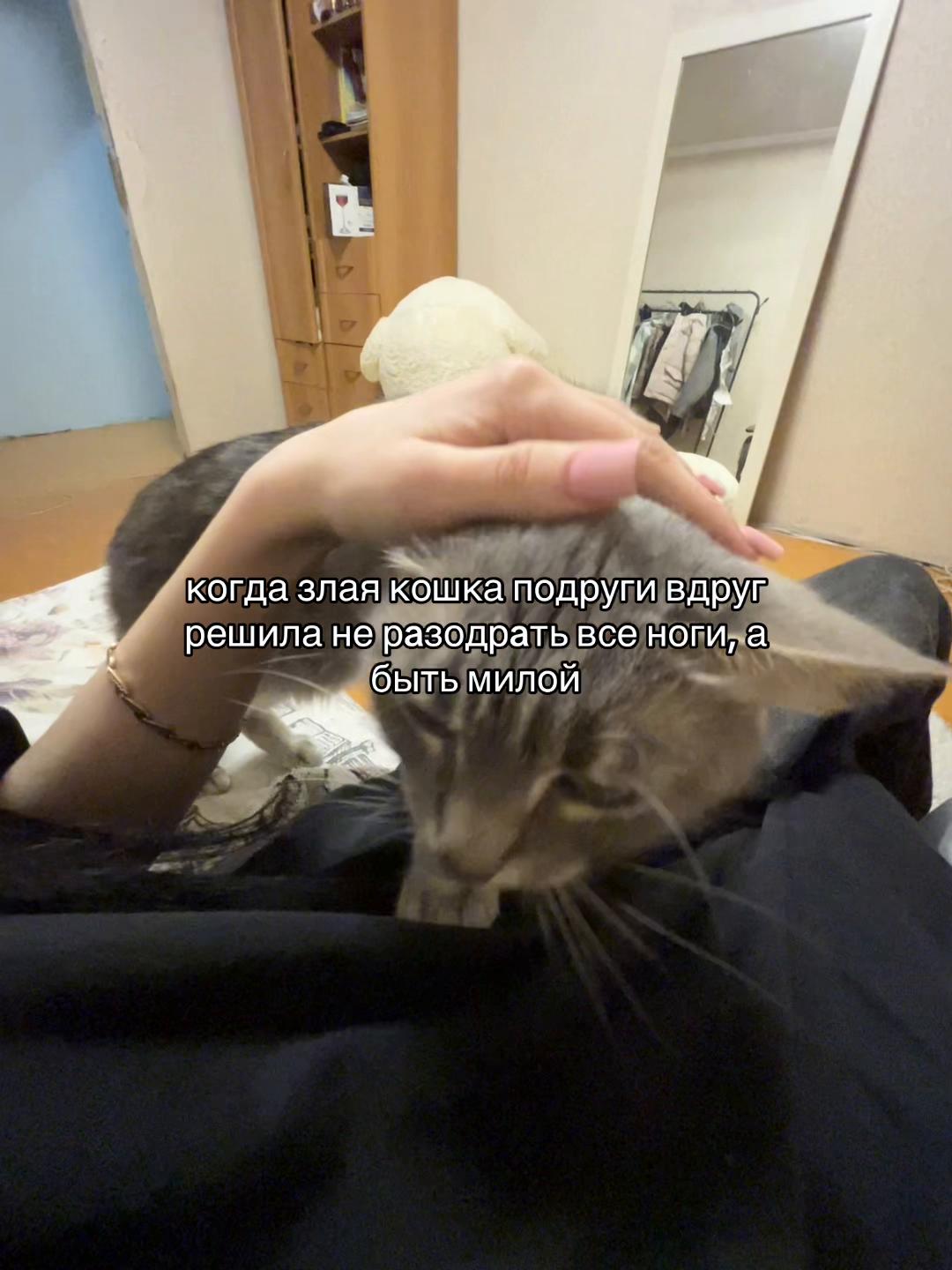 @гордеева💋
