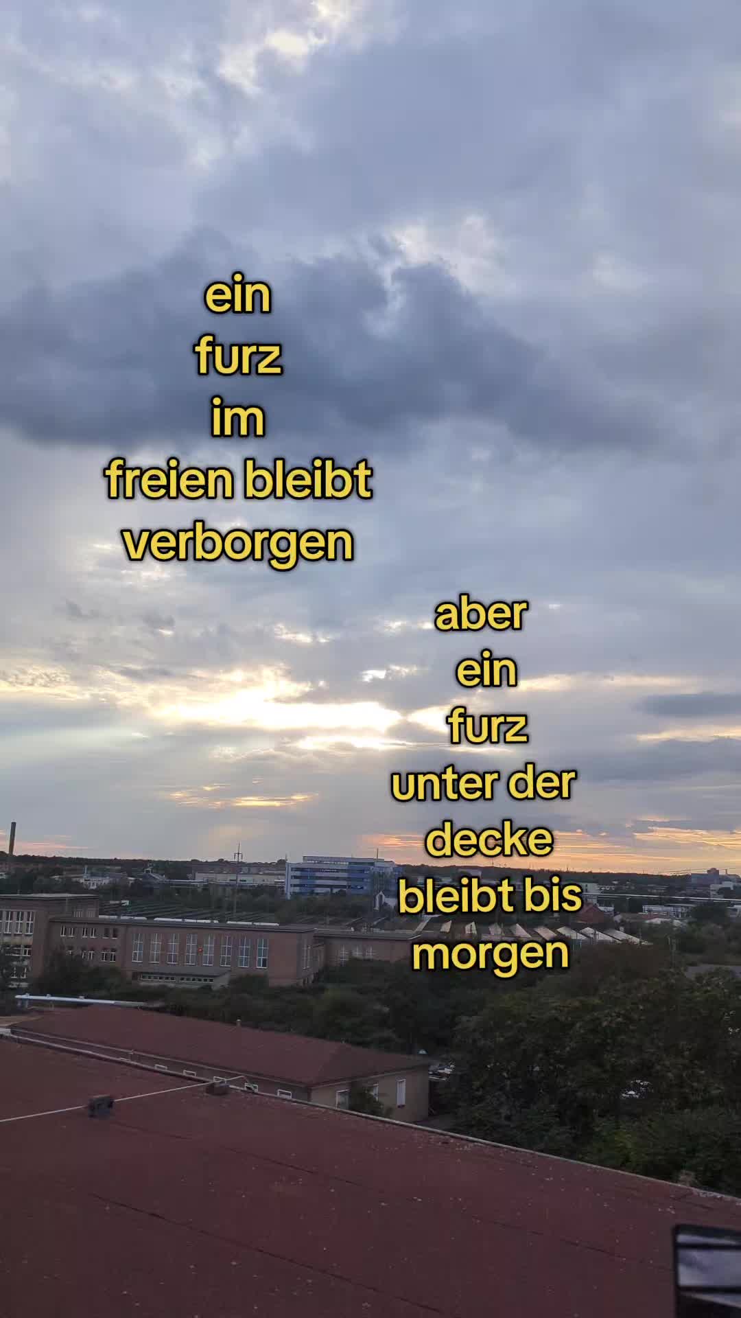 @373🇩🇪MUSIC HUB🇩🇪373