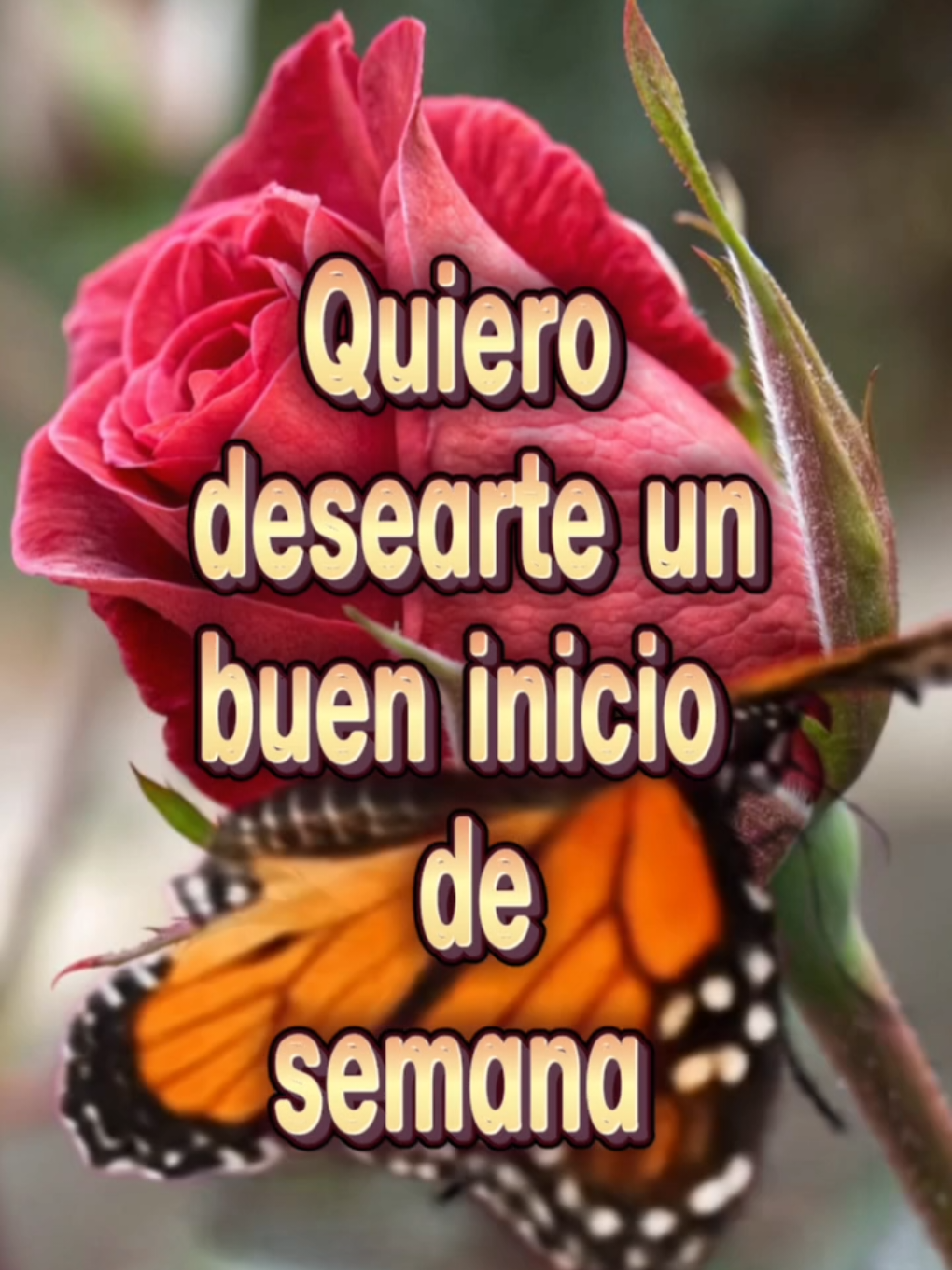 @Arely Mendoza Frases bonitas