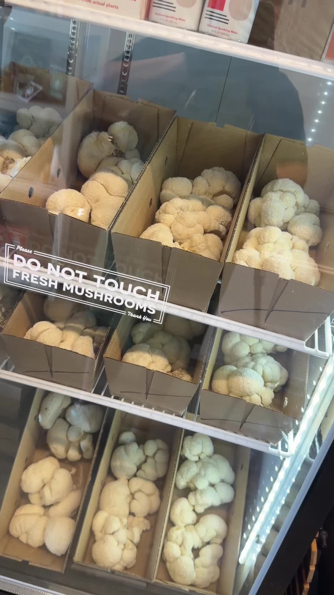 @The Mushroom Hub