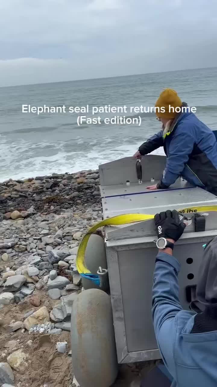 @Marine Mammal Care