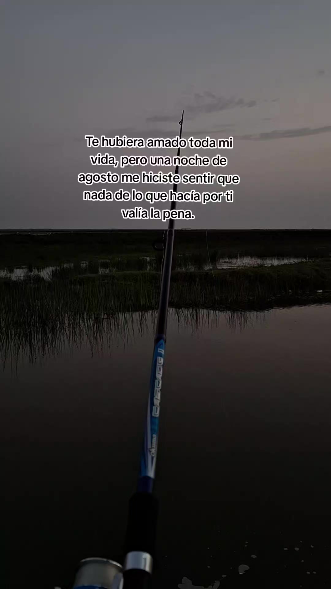 @❤️⭐️🐧