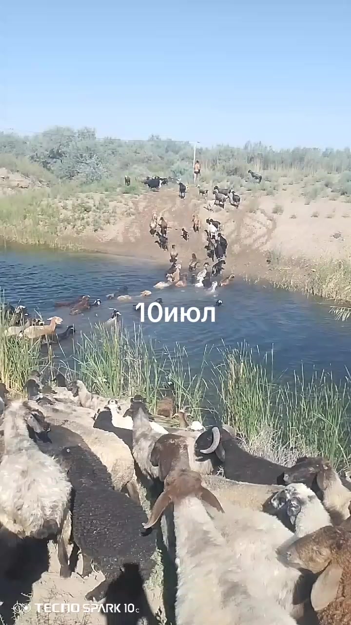 @Kayrat Axmedov