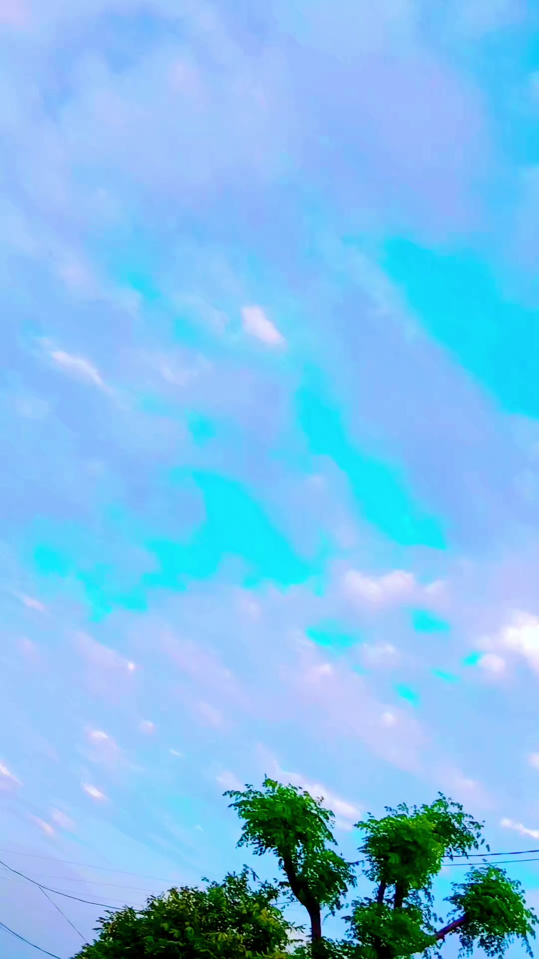 @NK  Jan 804