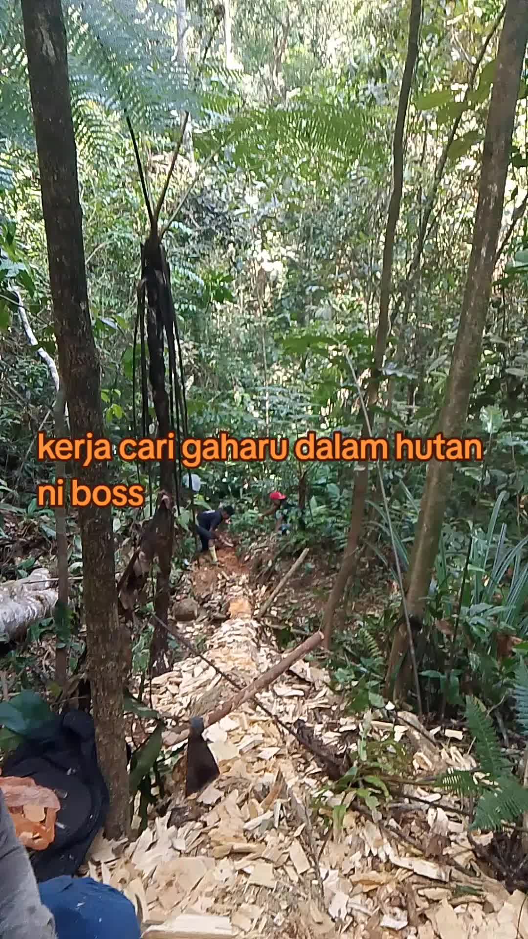 @zeroairin