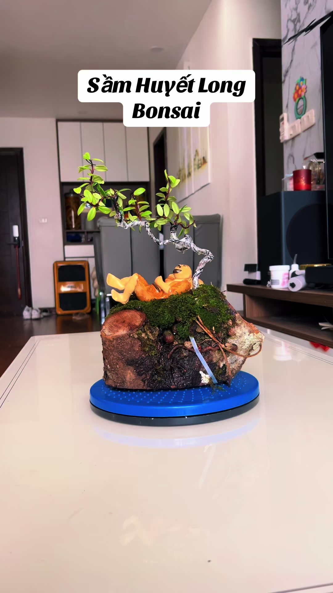 @Minh Phong Bonsai
