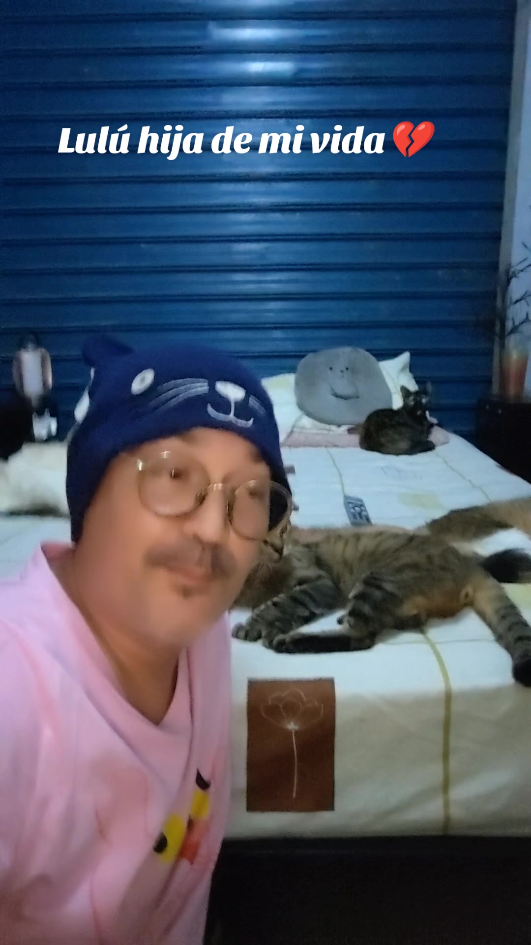 @Patitas y Garritas en la Calle