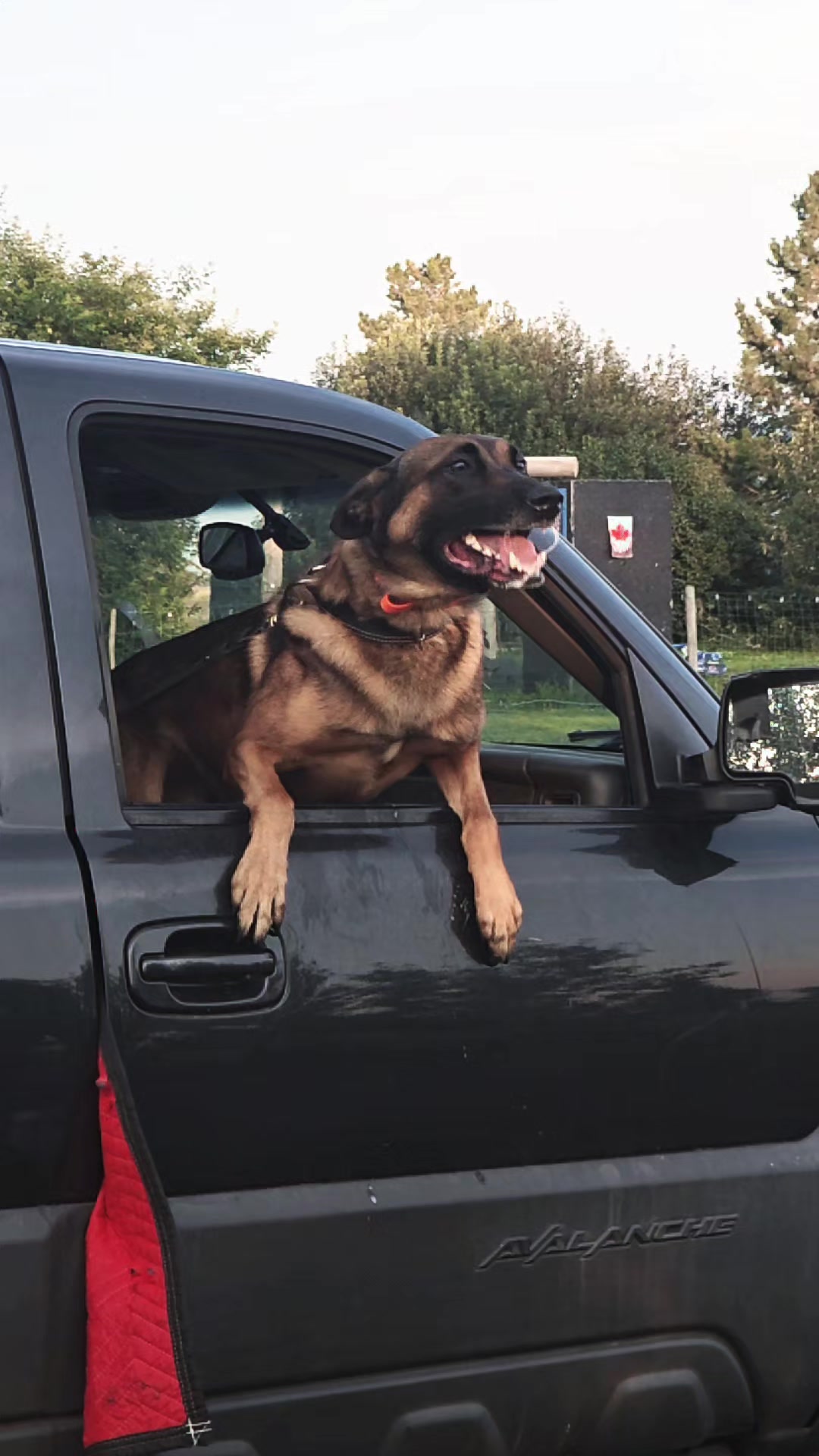 @RaisingHell.Hounds🇨🇦