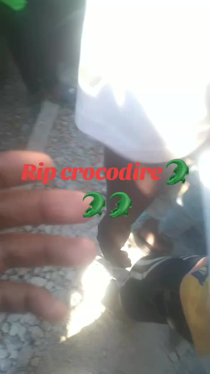 @šîřğì ŤMŤ💸💸