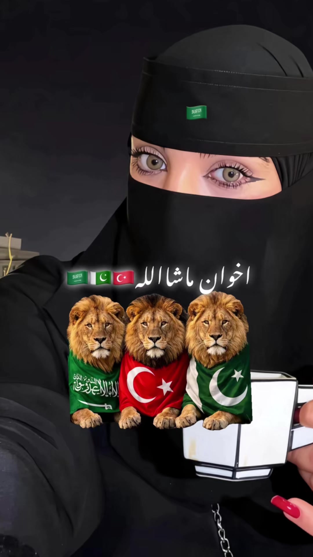 @rameen🇸🇦🇸🇦