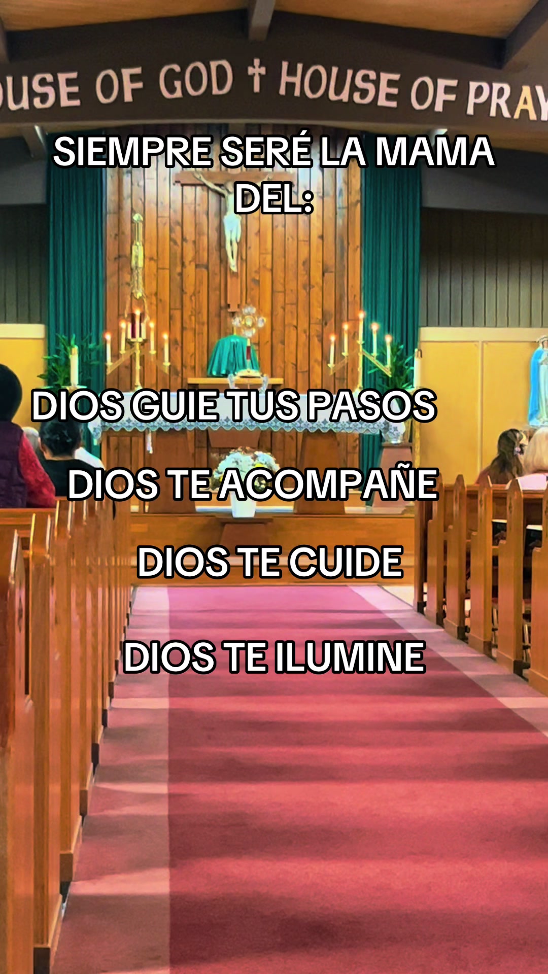 @salmacatolica