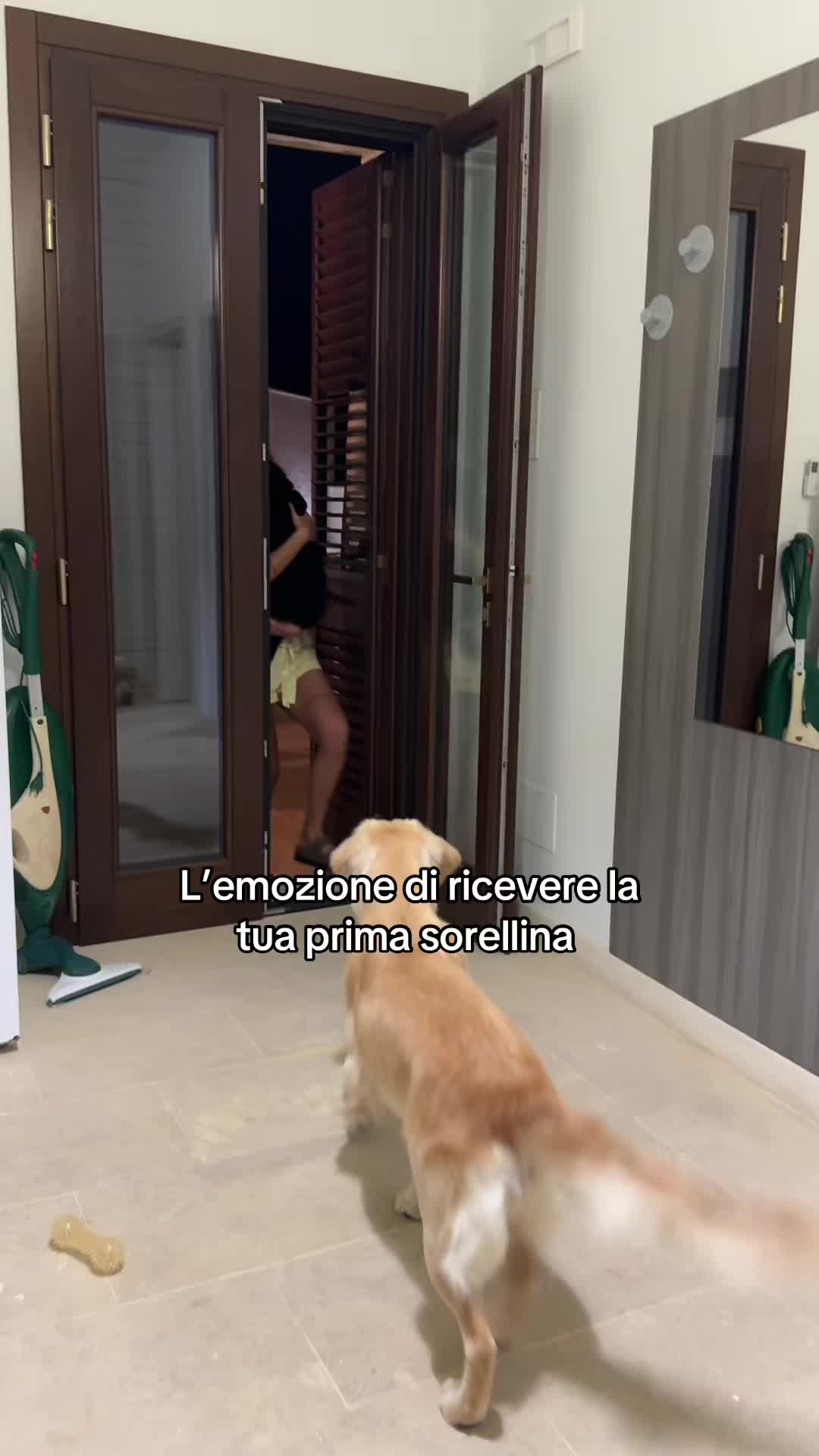 @AMELI(SSA)🐶👧🏻