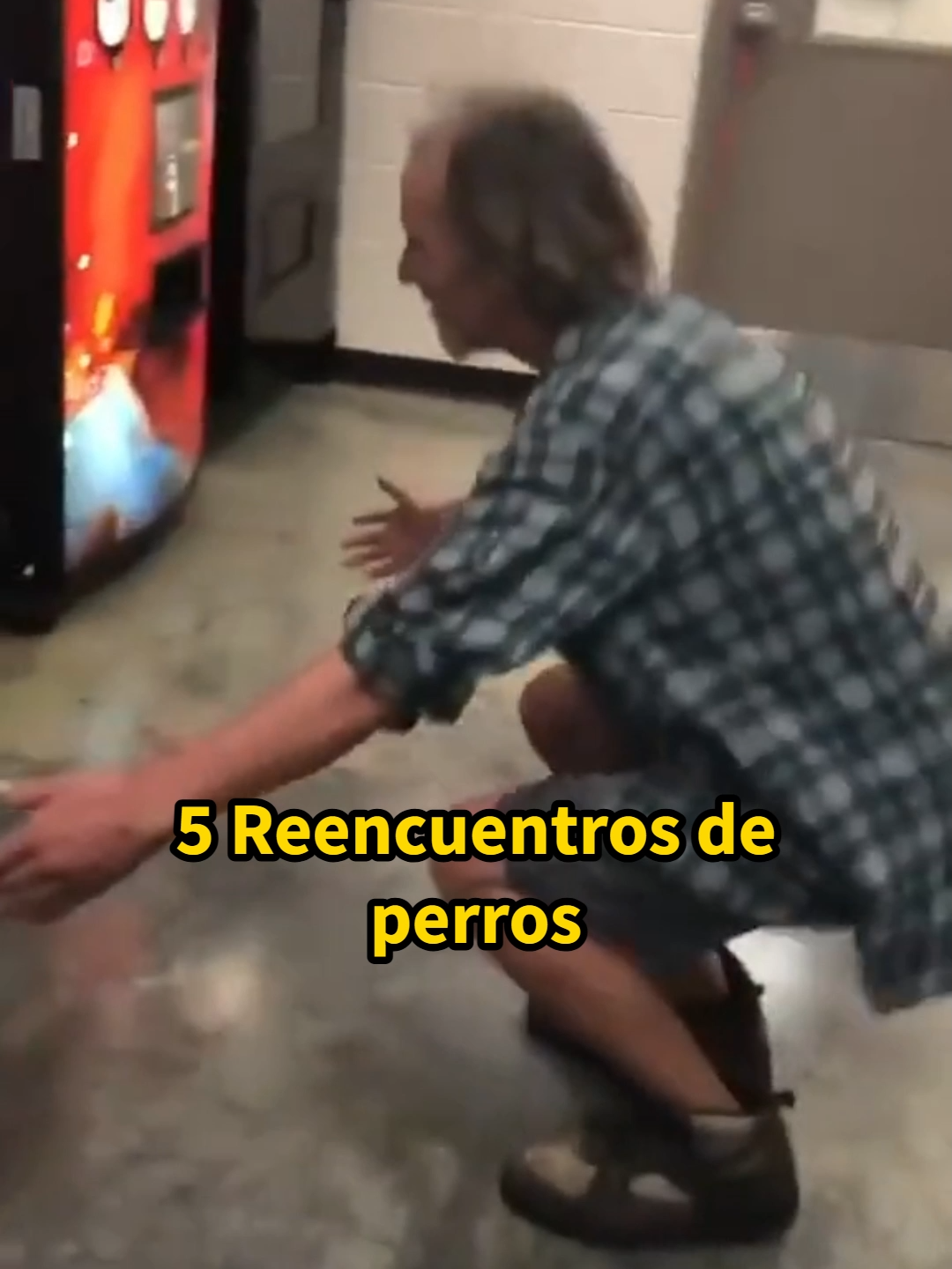 @Mi Mascota Feliz