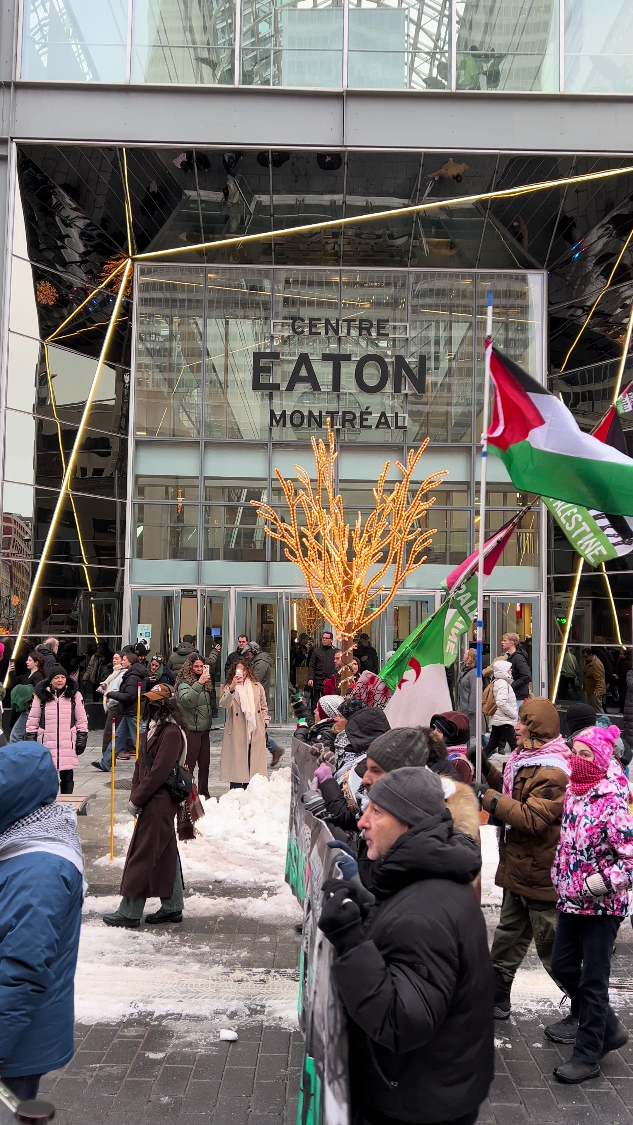 @montreal4palestine