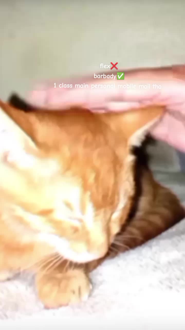 @🚩