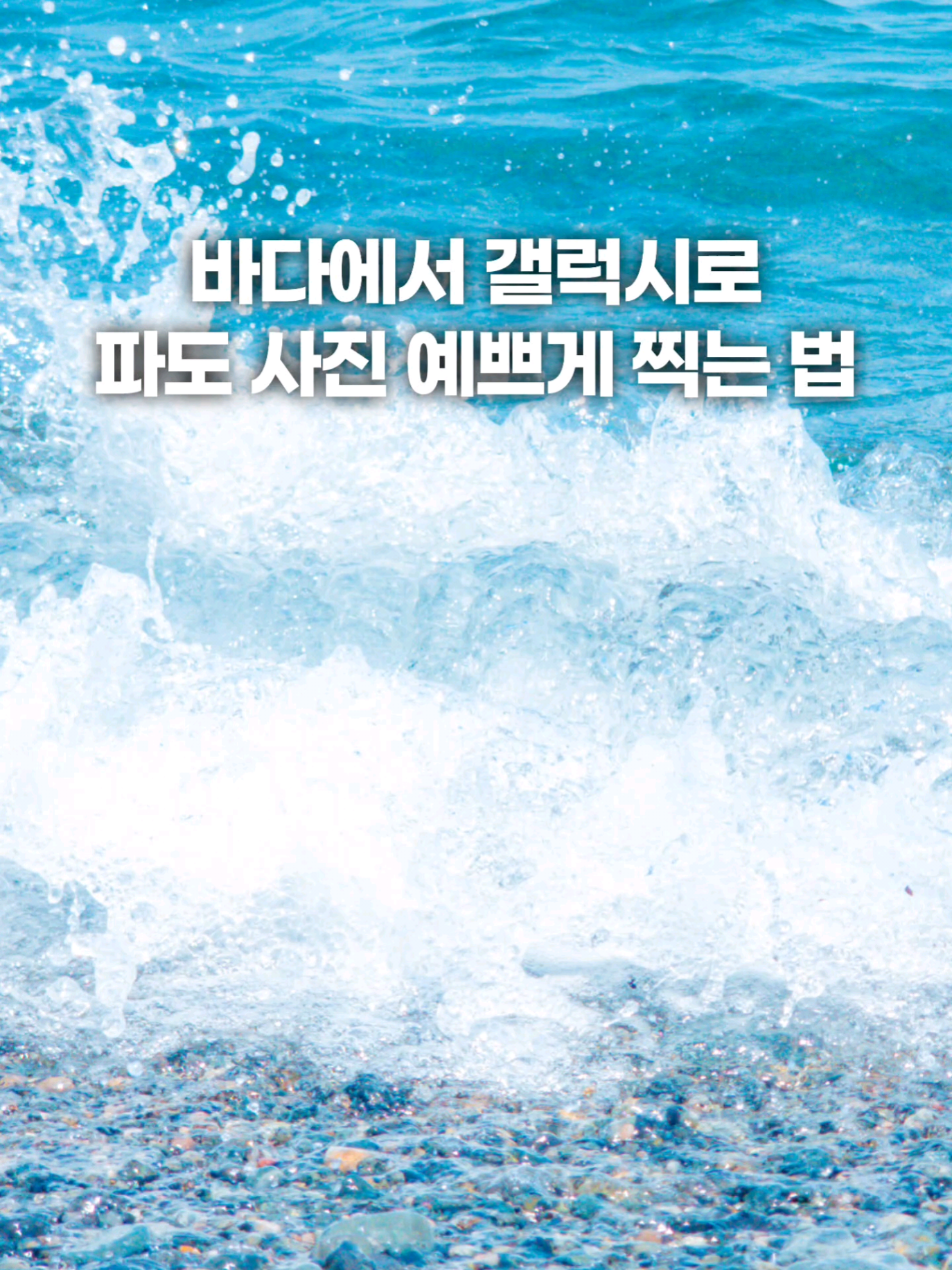 @주니웨어 주니