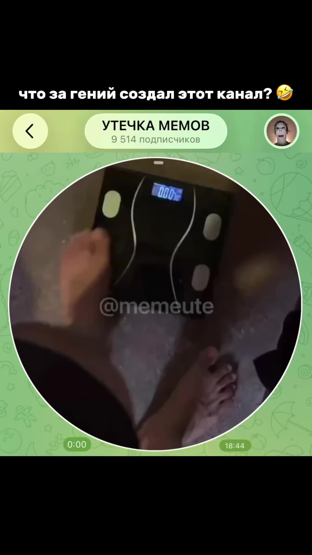 @тгк: memeute