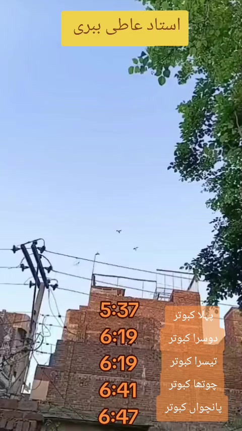 @Ahsan Rajpoot