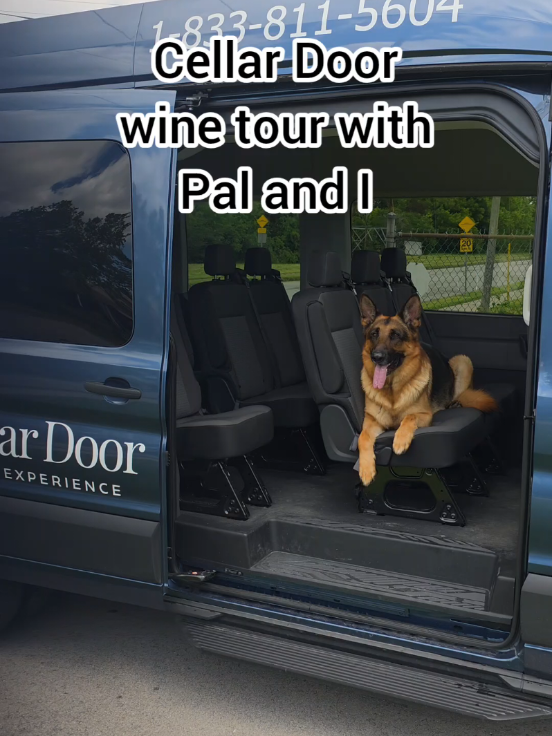 @BuddyandMikes Pal
