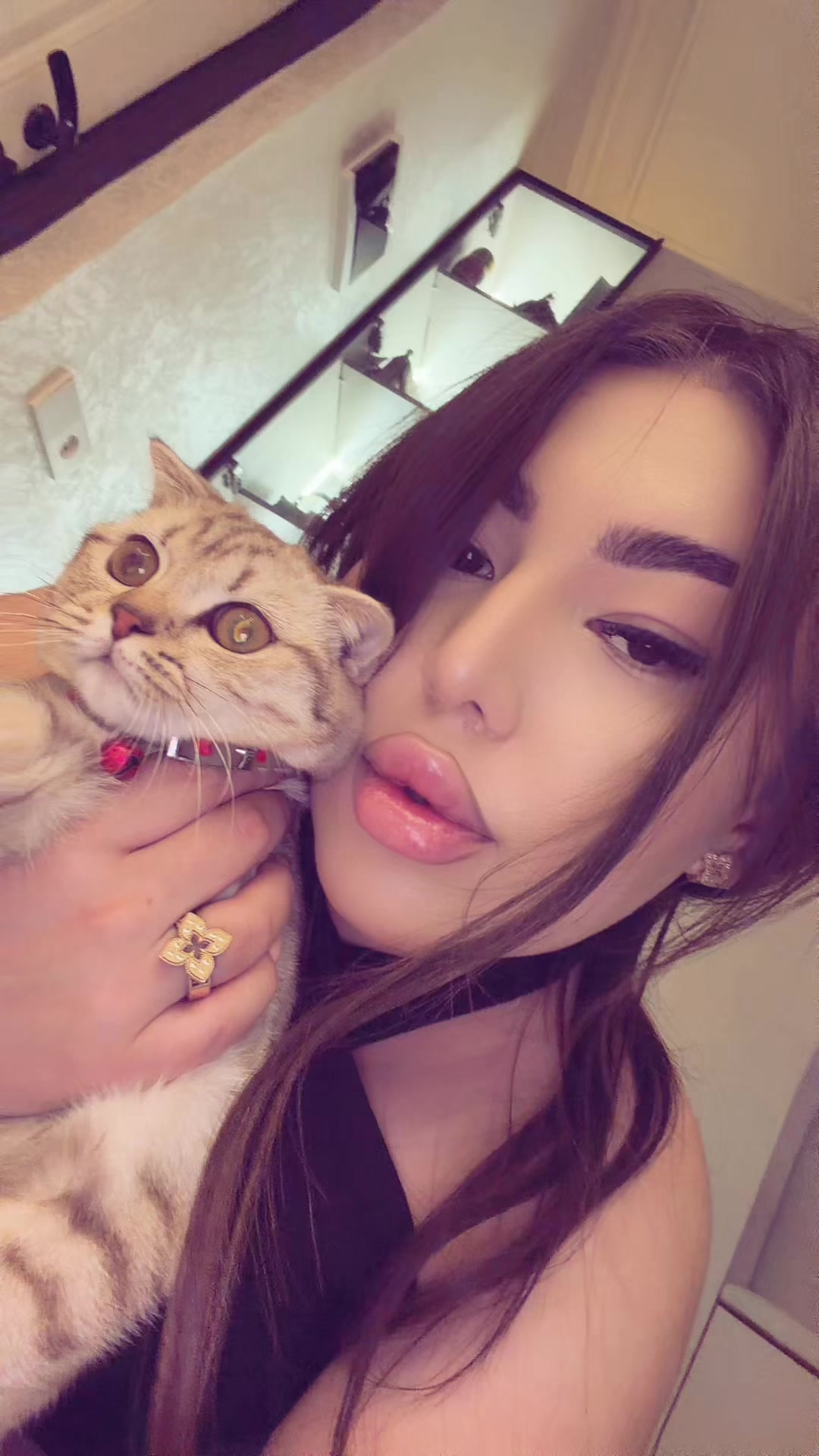 @𝐗𝐃