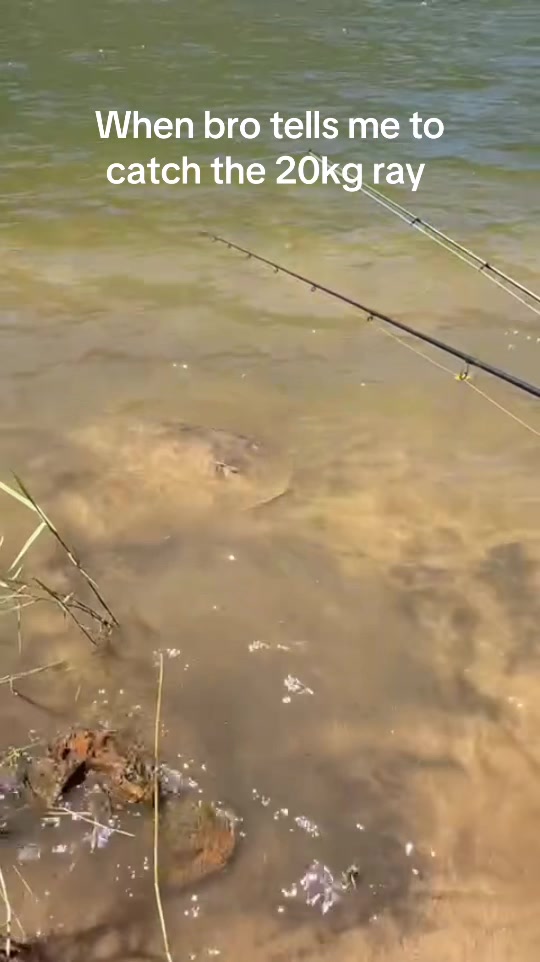 @Fishing_gang