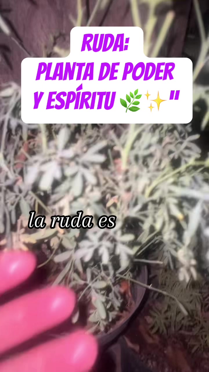 @RitualesPoderosos