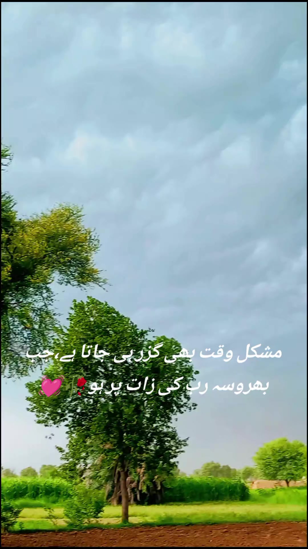 @𖤍 بـلالـــــی گـھنجــیـرا ☠︎
