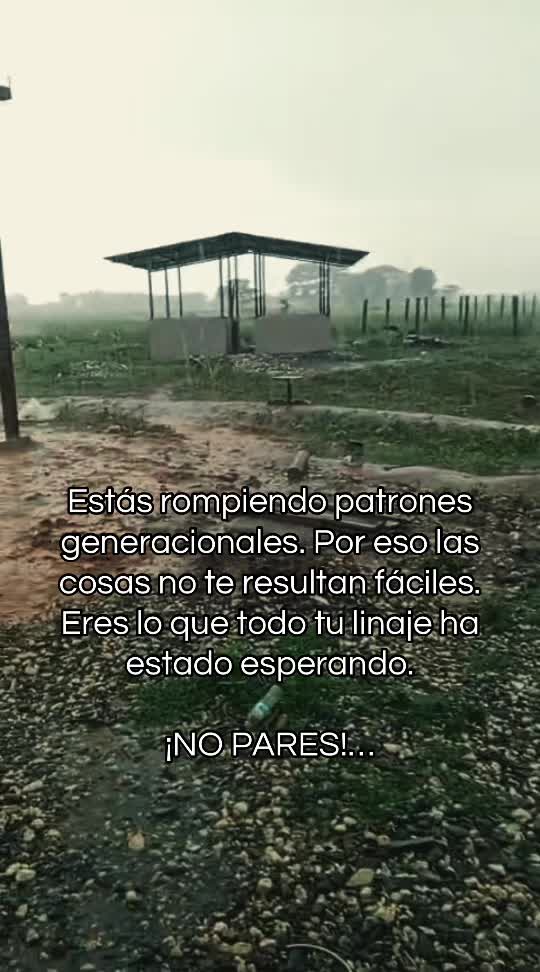@Elisaúl José