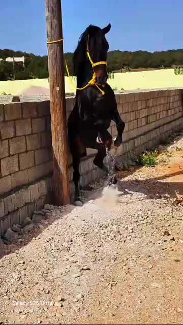 @وادي الشيص الجبل الاخضر