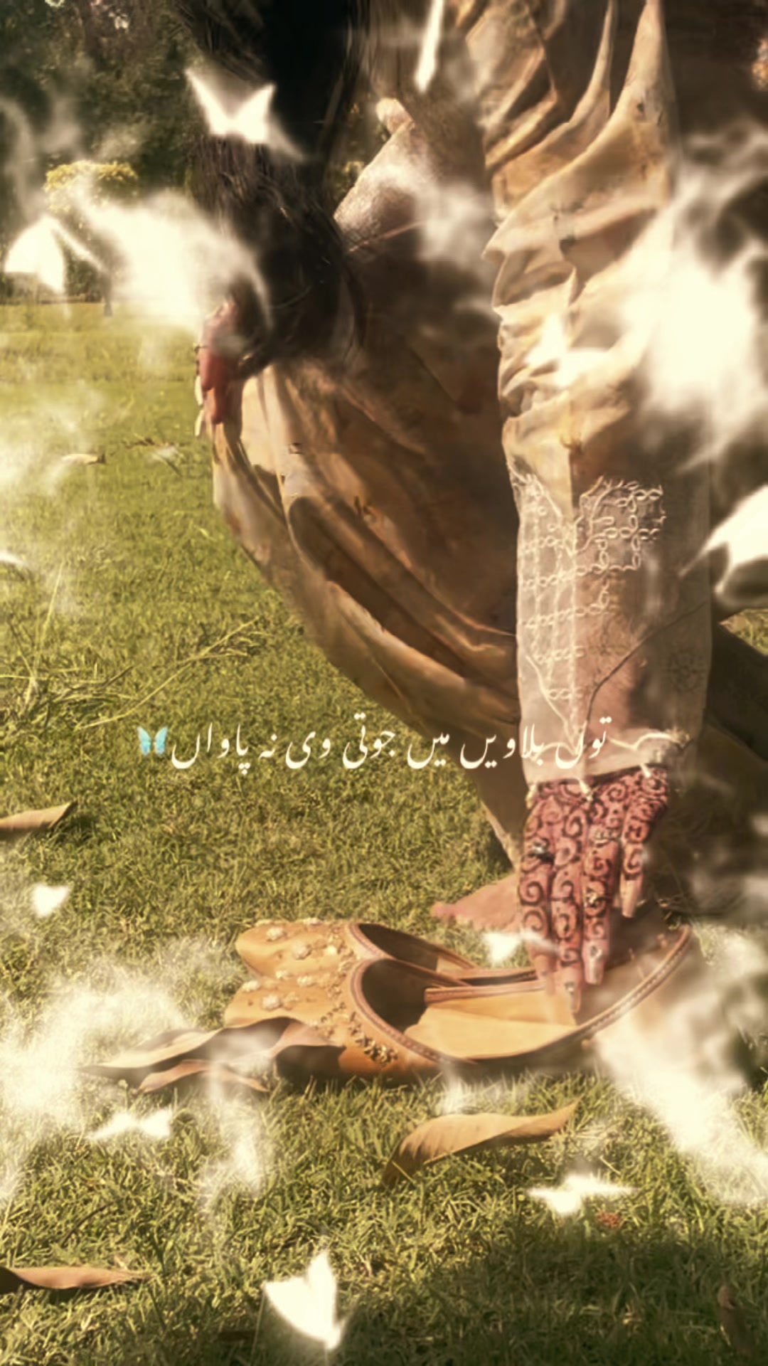 @Laiba Shakeel