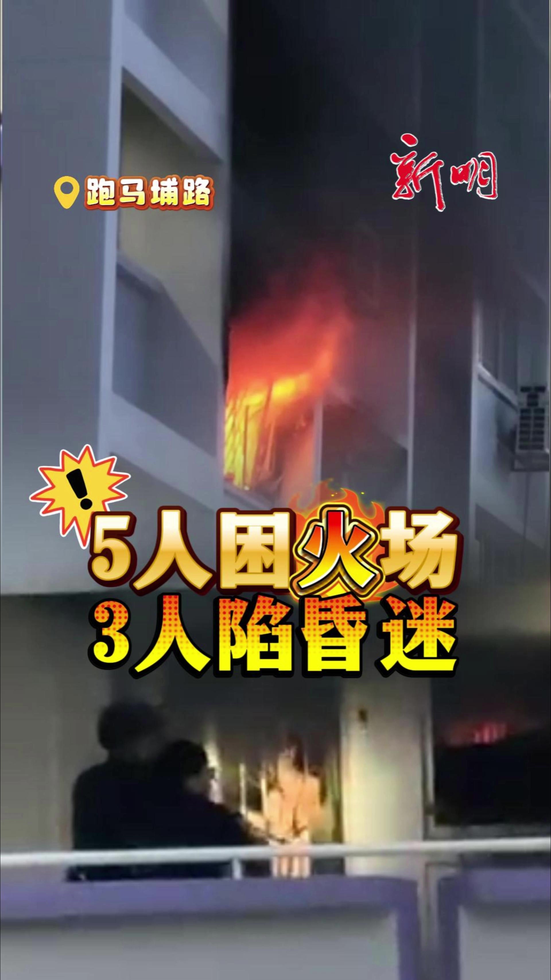 @新明日报