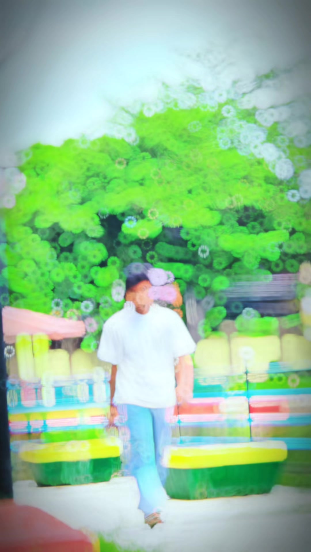 @โ๐ฝ๐ผ๐พ๐๐โ(M)โ