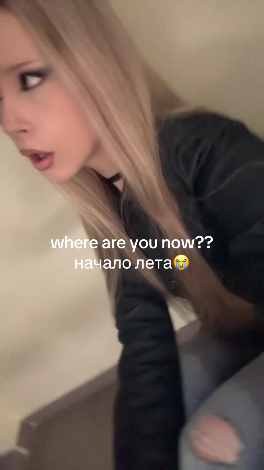 @тгк:meowarr