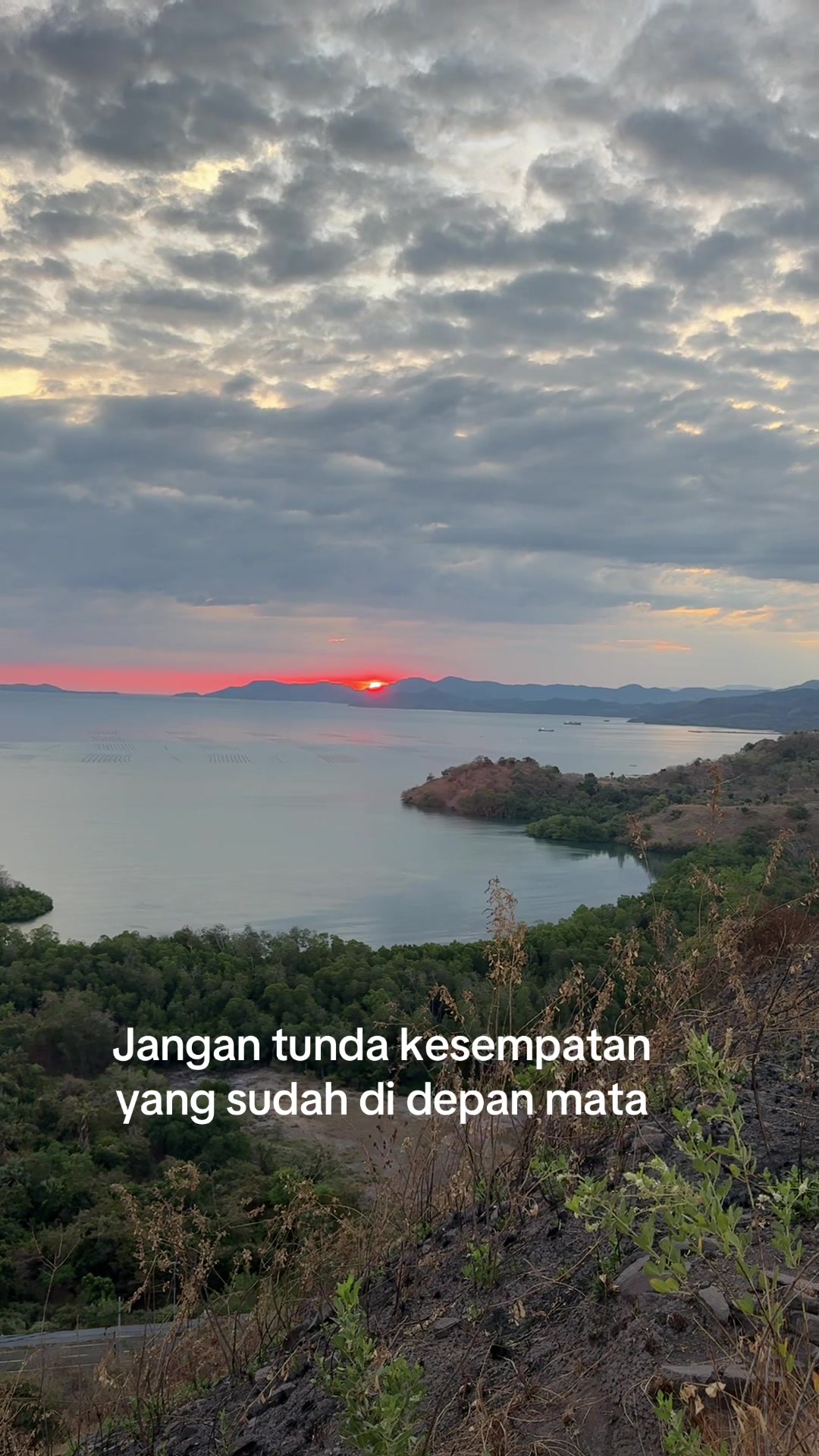 @Andi Takdir_Tappu