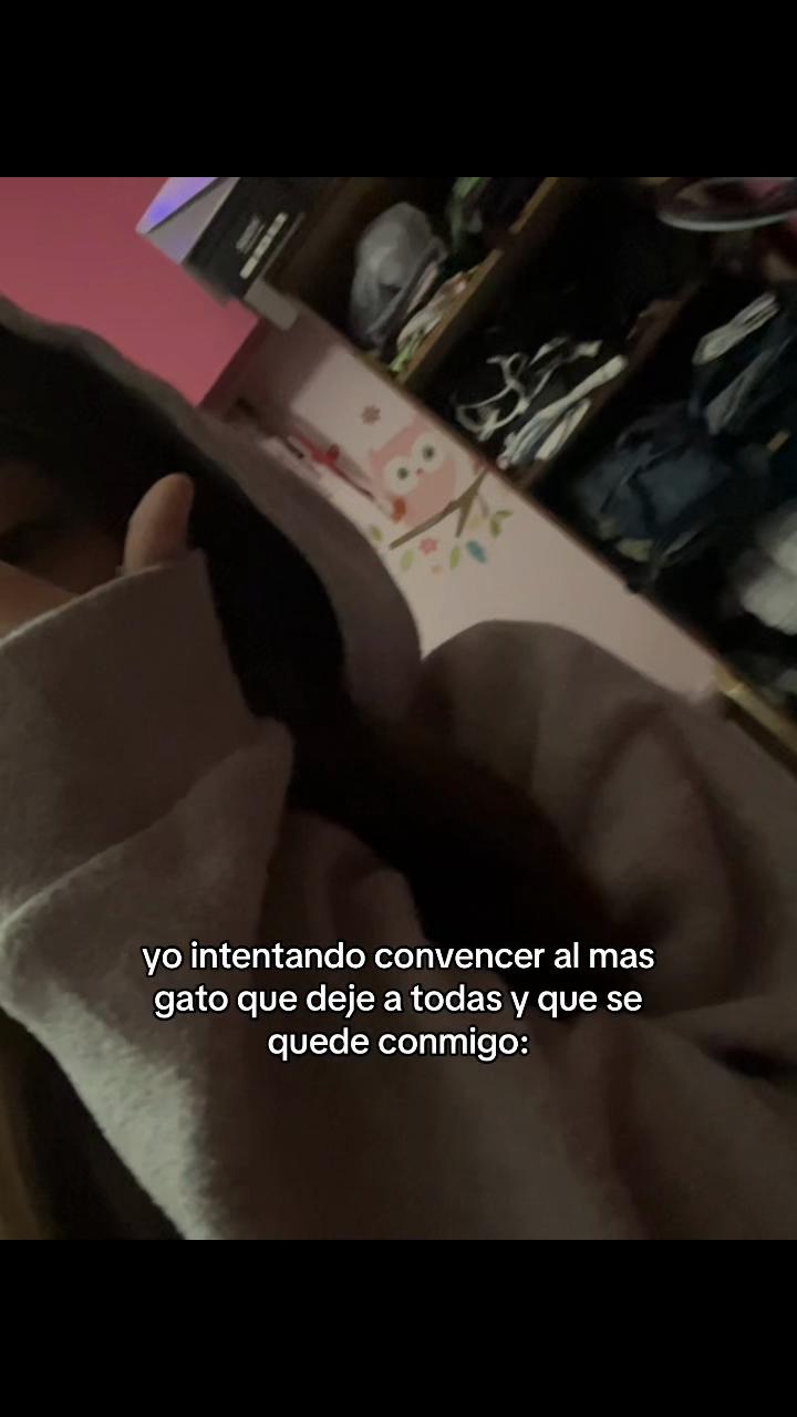@s44m&iexcl;Ra