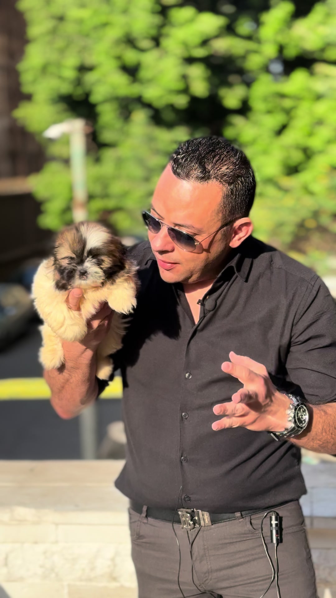 @Dogs Egypt - Ahmed Baher
