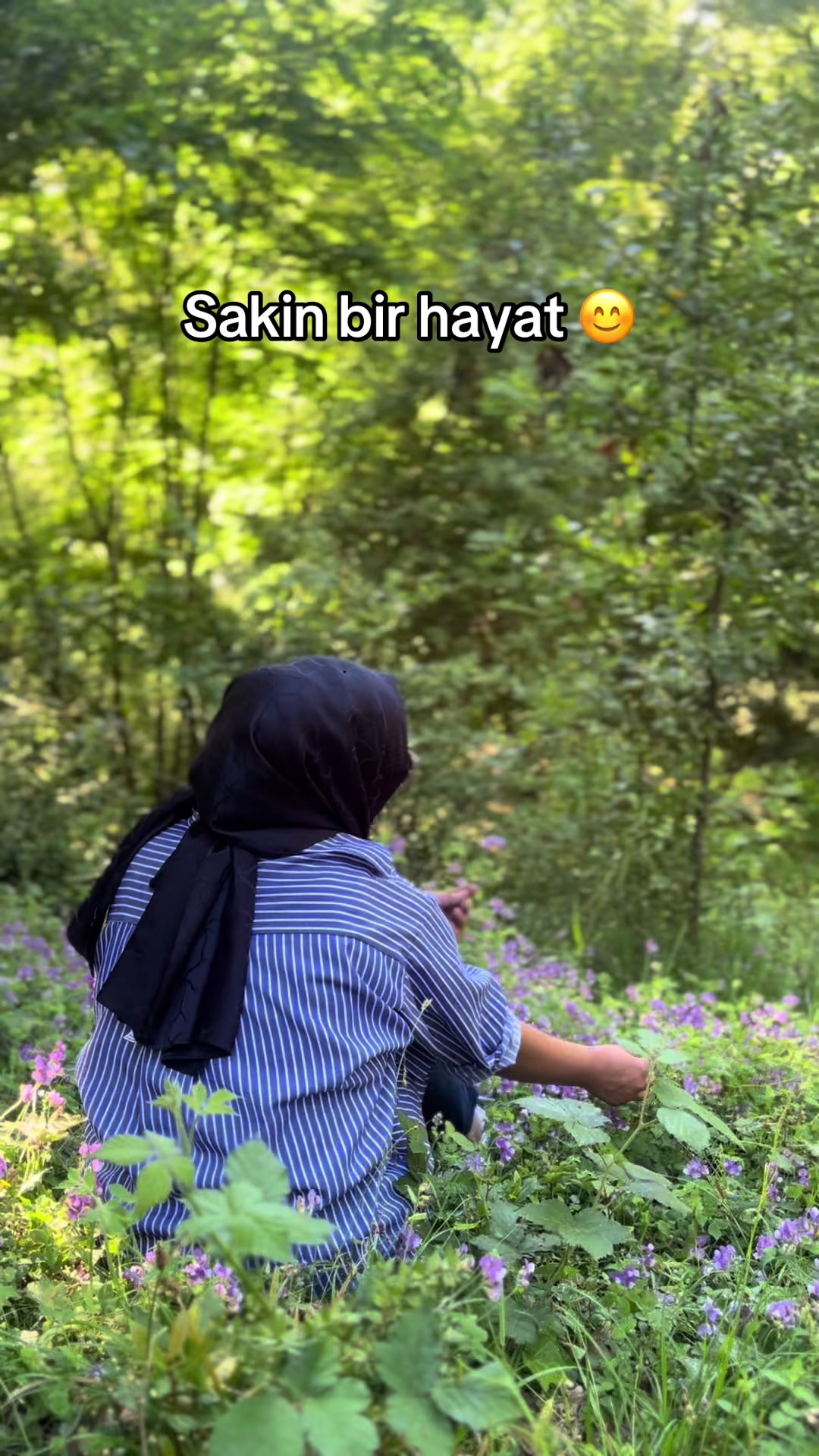 @havin23