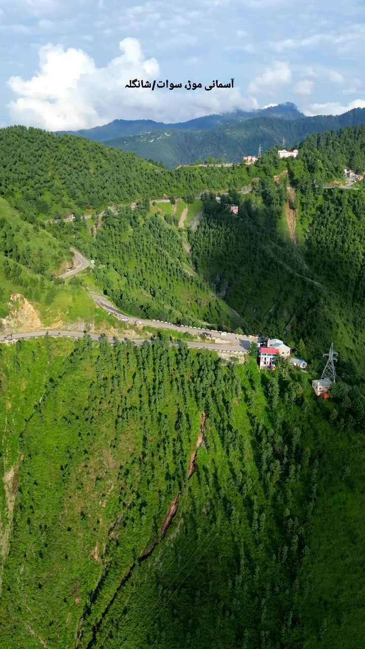 @🔥👑. KÎÑG OF SHANGLA🔥👑