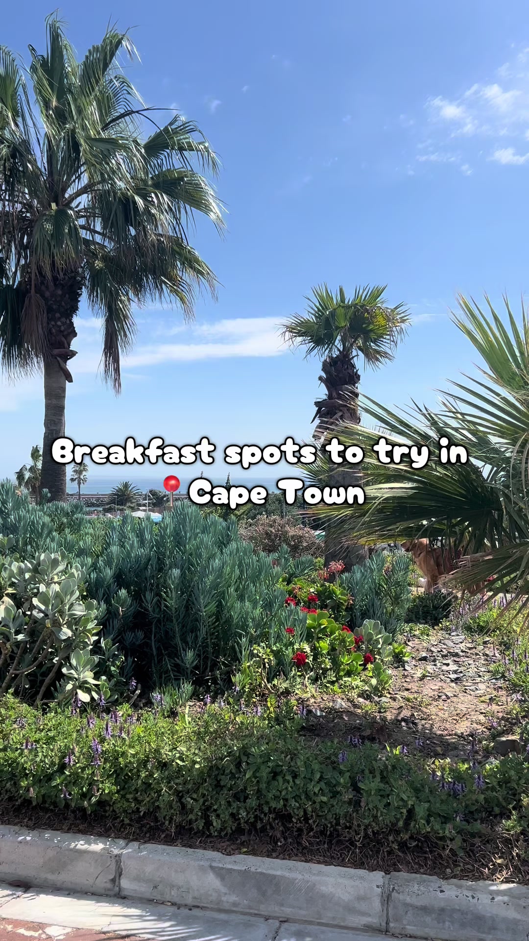 @Vee | UGC Travel and Food