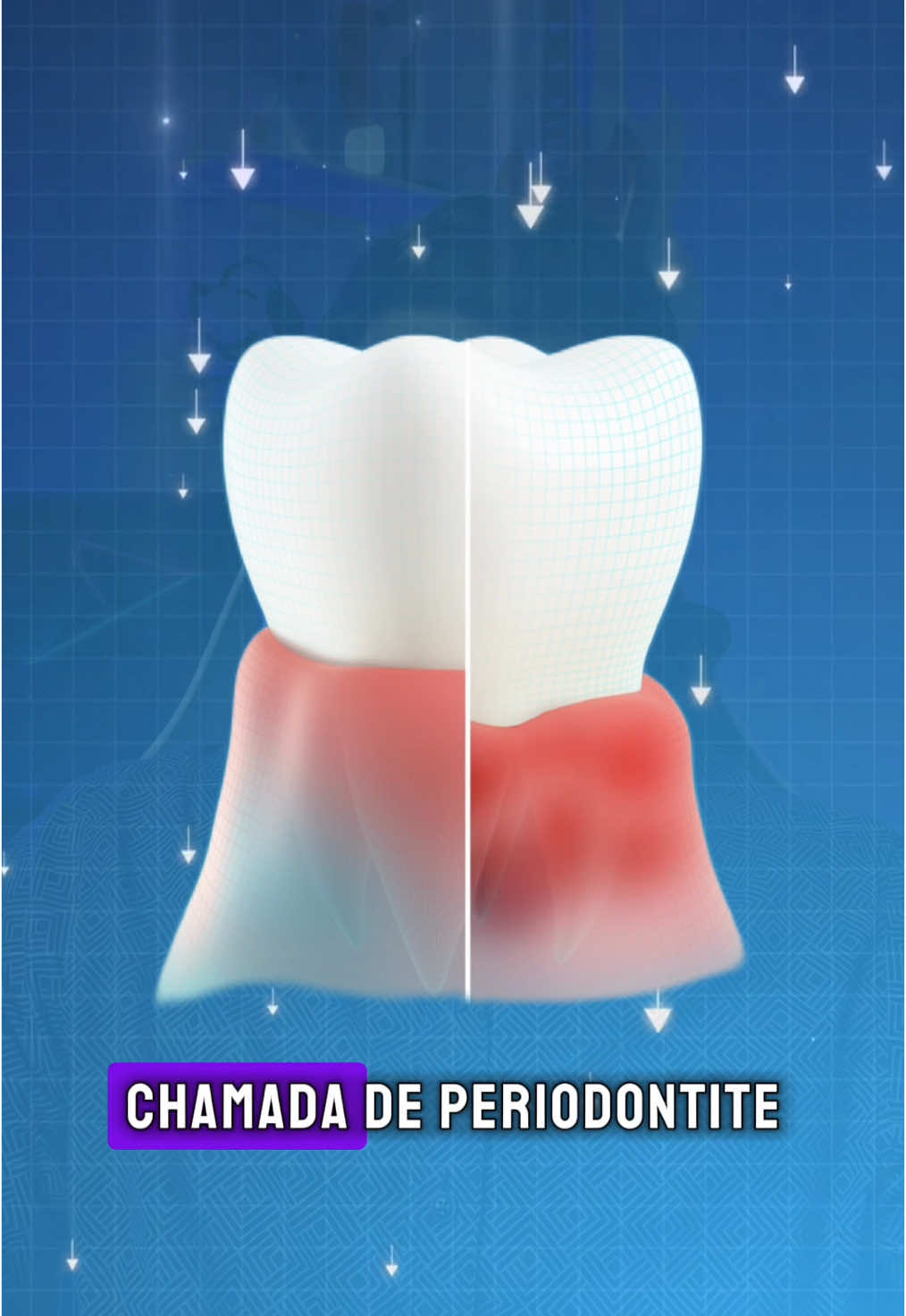 @Adriano Pacheco