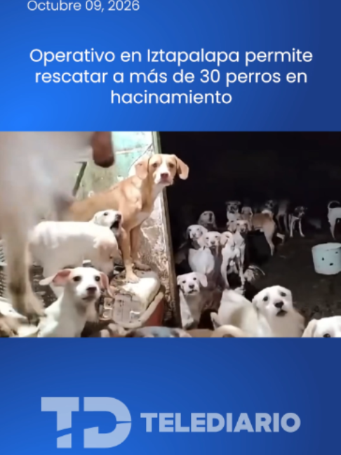 @TelediarioMx