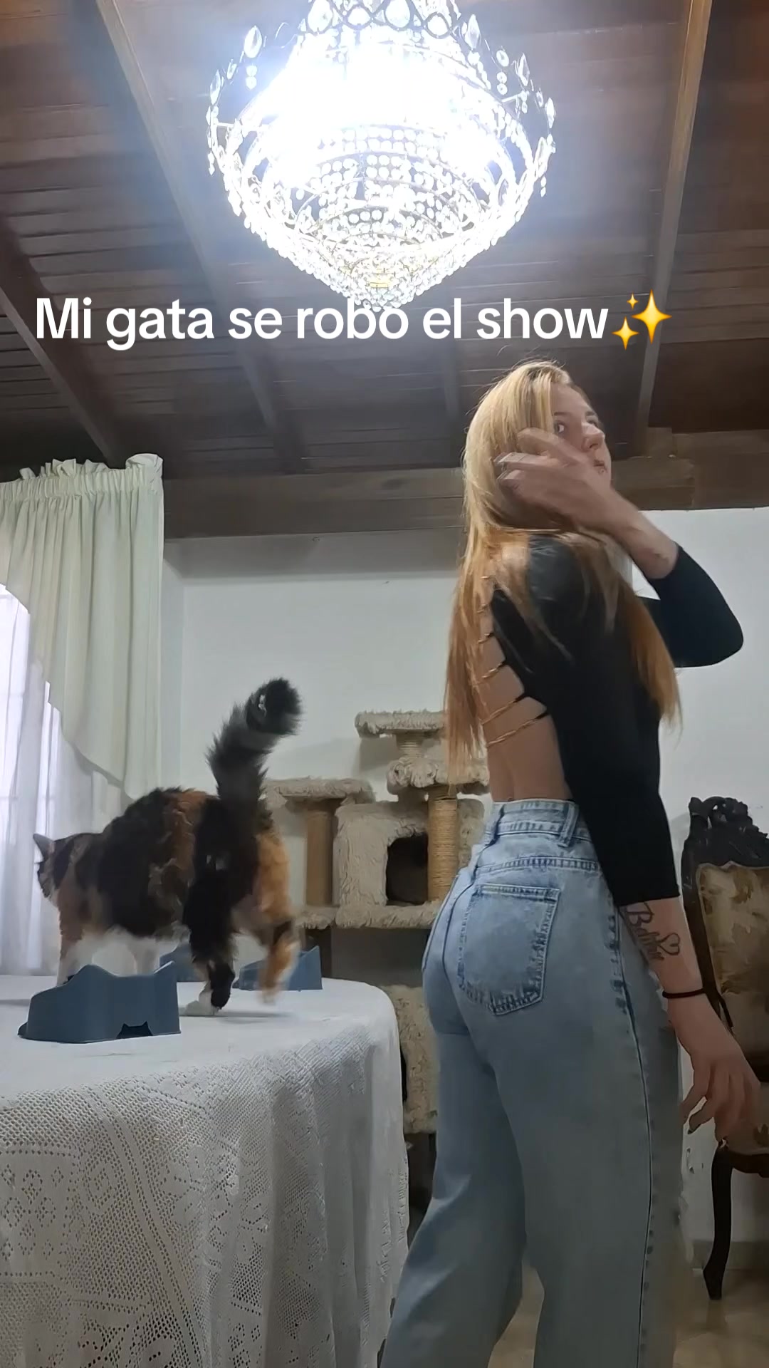 @Rosangela Dorazio