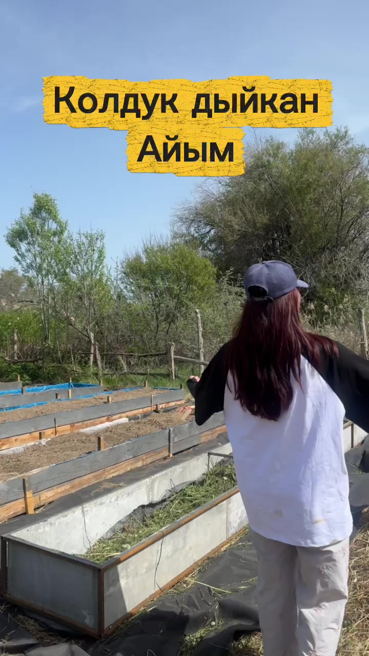 @Don_agro.kg