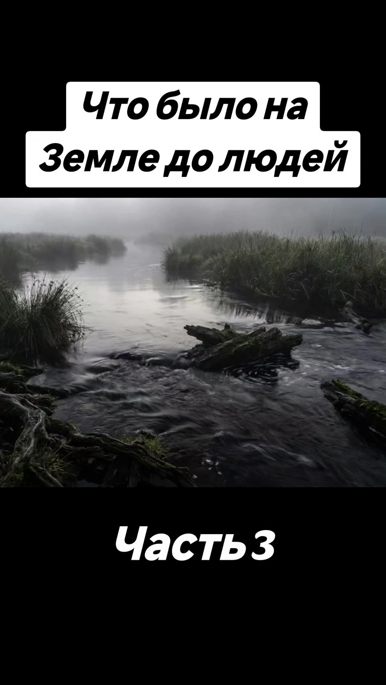 @🇷🇺НЕКСУС🇷🇺