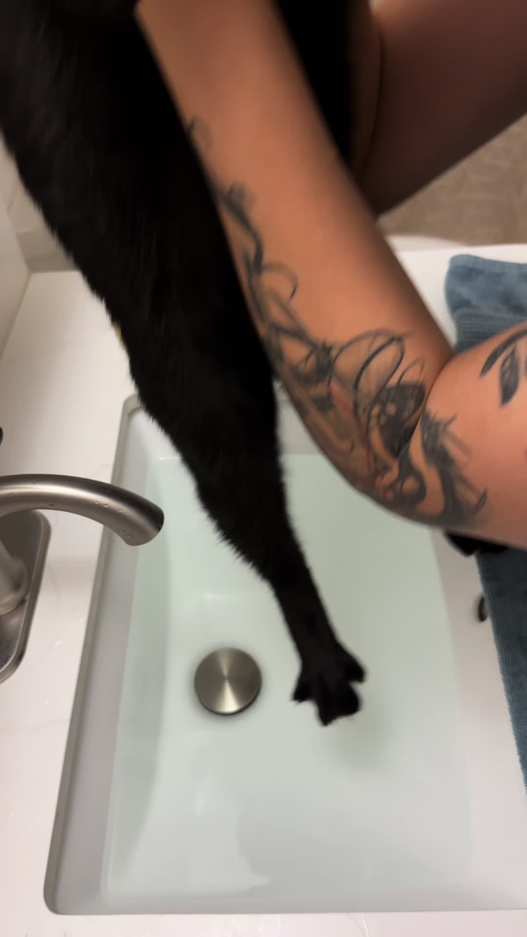 @I&rsquo;m Kitty 🐈&zwj;⬛